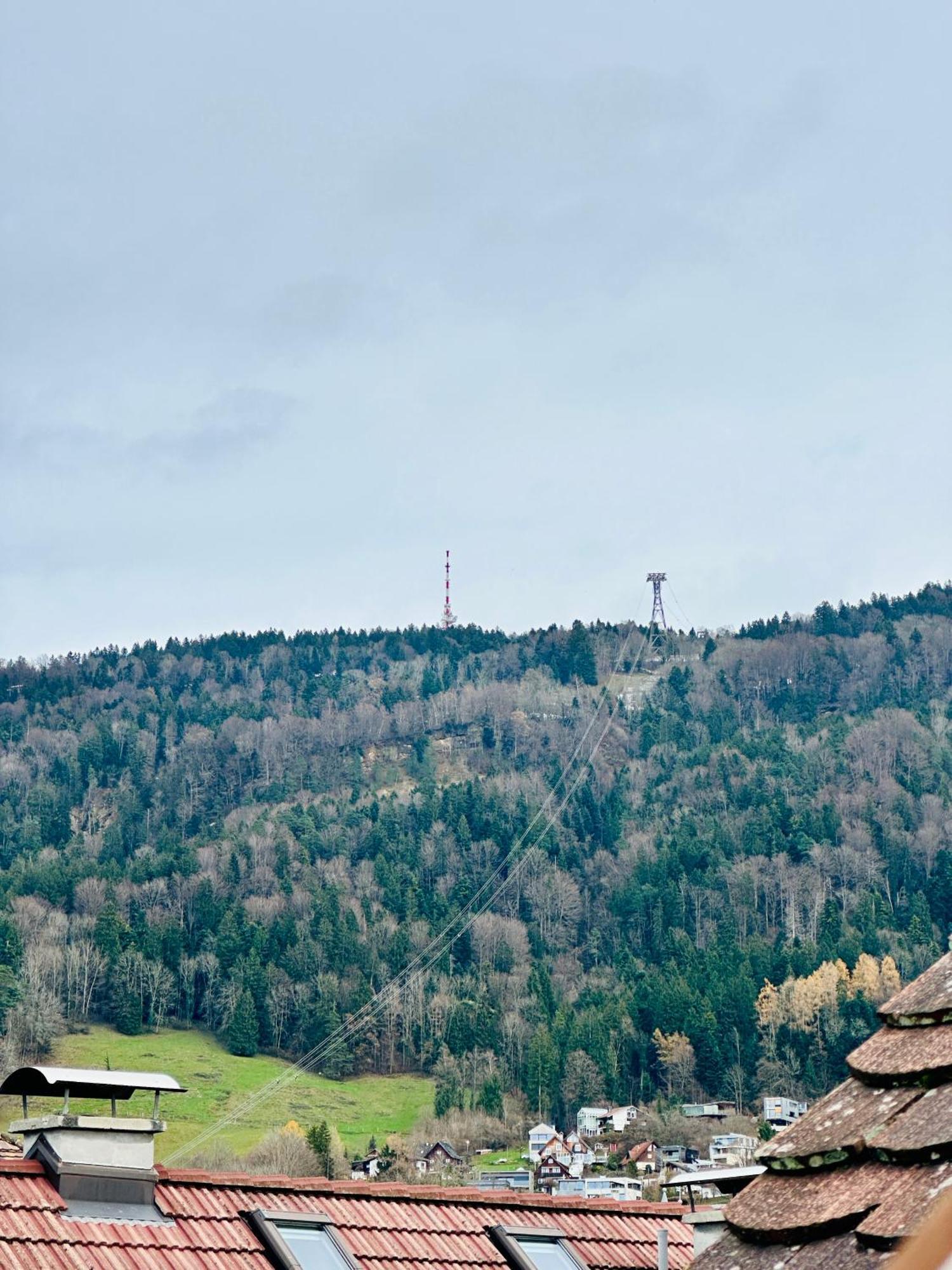 Appartement Zentrale Mit Dachterasse Brégence
